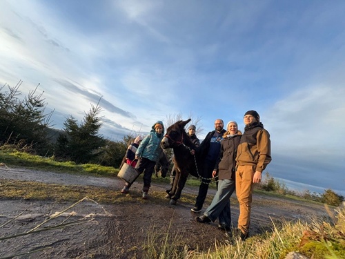 Wanderung mit Eseln 2